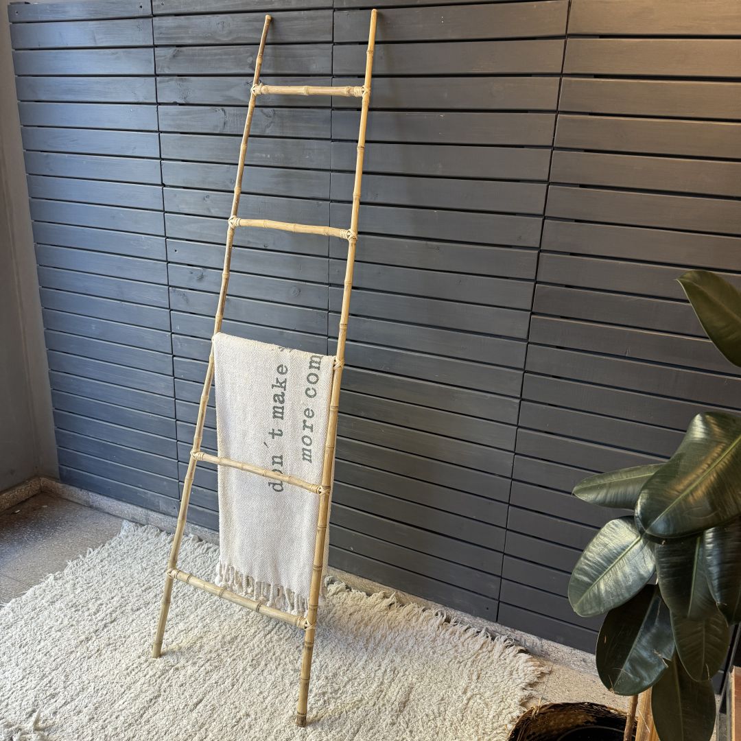 escalera-cana-3383